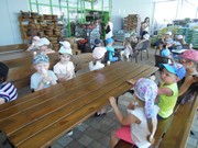 Celodenní výlet Mnichovo Hradiště